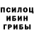 Псилоцибиновые грибы мухоморы Zar Ya