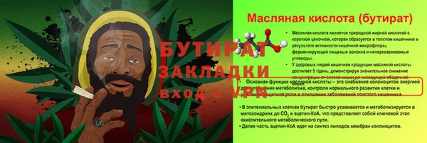 ГАЛЛЮЦИНОГЕННЫЕ ГРИБЫ Богданович